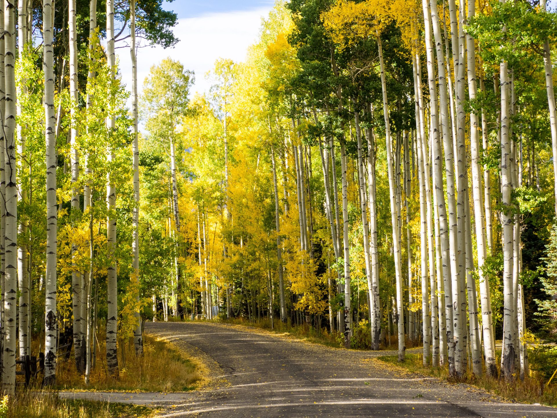 Flying Private to Steamboat Springs, Colorado: A Traveler's Guide