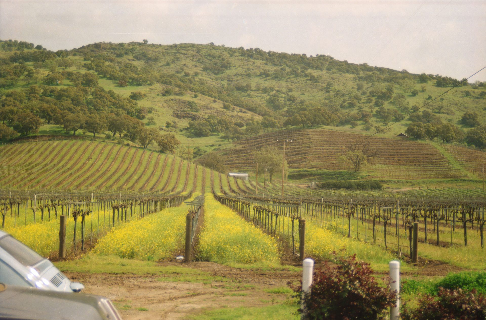 Flying Private to Sonoma for a Wine Country Weekend